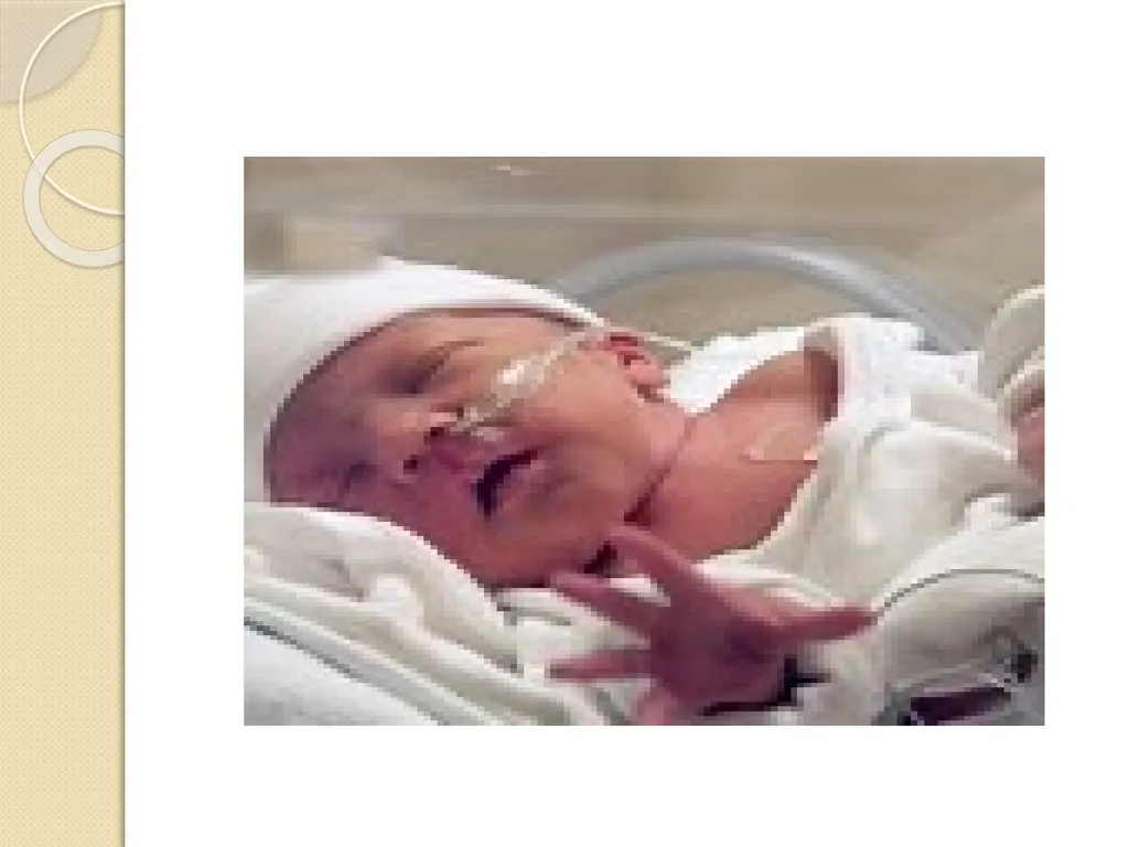 Maternal and neonatal nursing (specialties) - slide 6 of 25