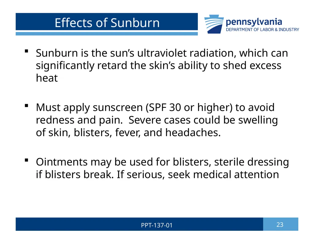 Summer Safety 1 PPT-137-01 Bureau of Workers’ - slide 23 of 29