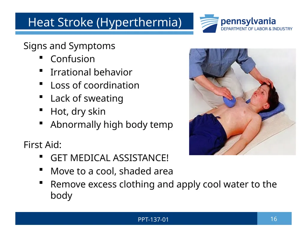 Summer Safety 1 PPT-137-01 Bureau of Workers’ - slide 16 of 29