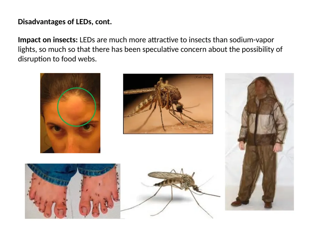Electroluminescence as a phenomenon was discovered - slide 11 of 11