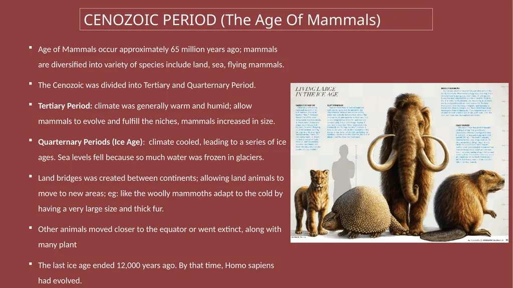 HISTORY OF MAMMALS (TRIASSIC AND CENOZIAN PERIOD) - slide 3 of 4