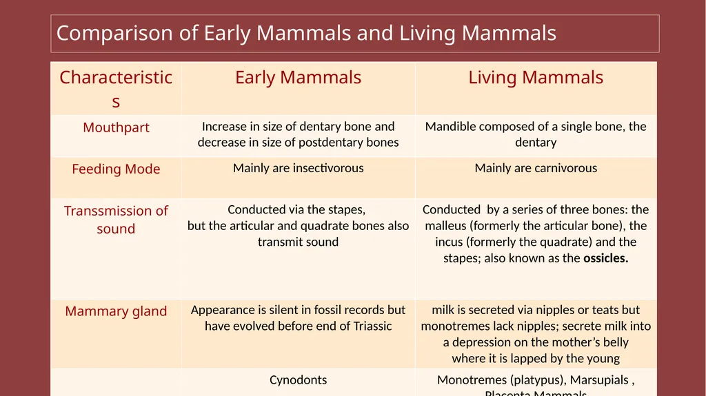 HISTORY OF MAMMALS (TRIASSIC AND CENOZIAN PERIOD) - slide 4 of 4