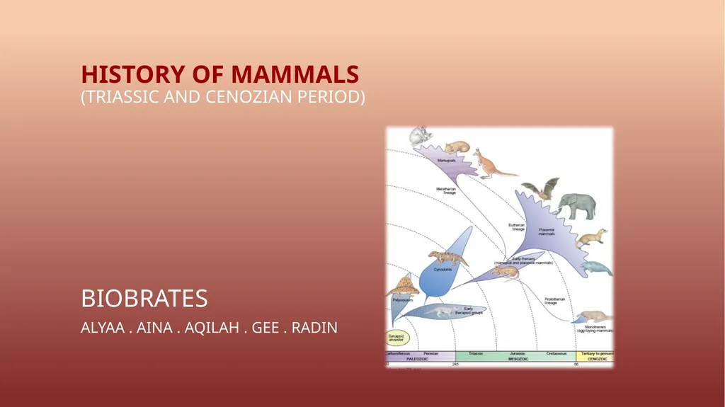 HISTORY OF MAMMALS (TRIASSIC AND CENOZIAN PERIOD) - slide 1 of 4