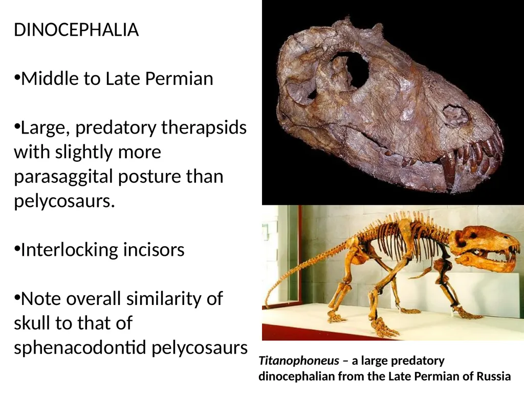 Stuart S. Sumida Biology 342 (Over) Simplified - slide 9 of 22