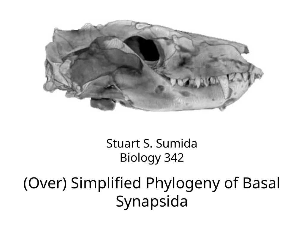 Stuart S. Sumida Biology 342 (Over) Simplified - slide 1 of 22