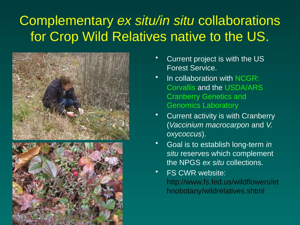National Germplasm Resources Laboratory Plant - slide 7 of 11