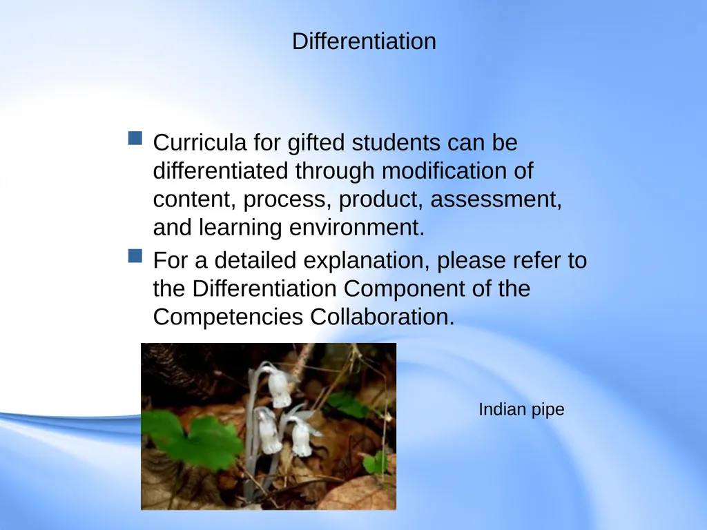 Curriculum for Gifted Students Component 6 of the - slide 22 of 41