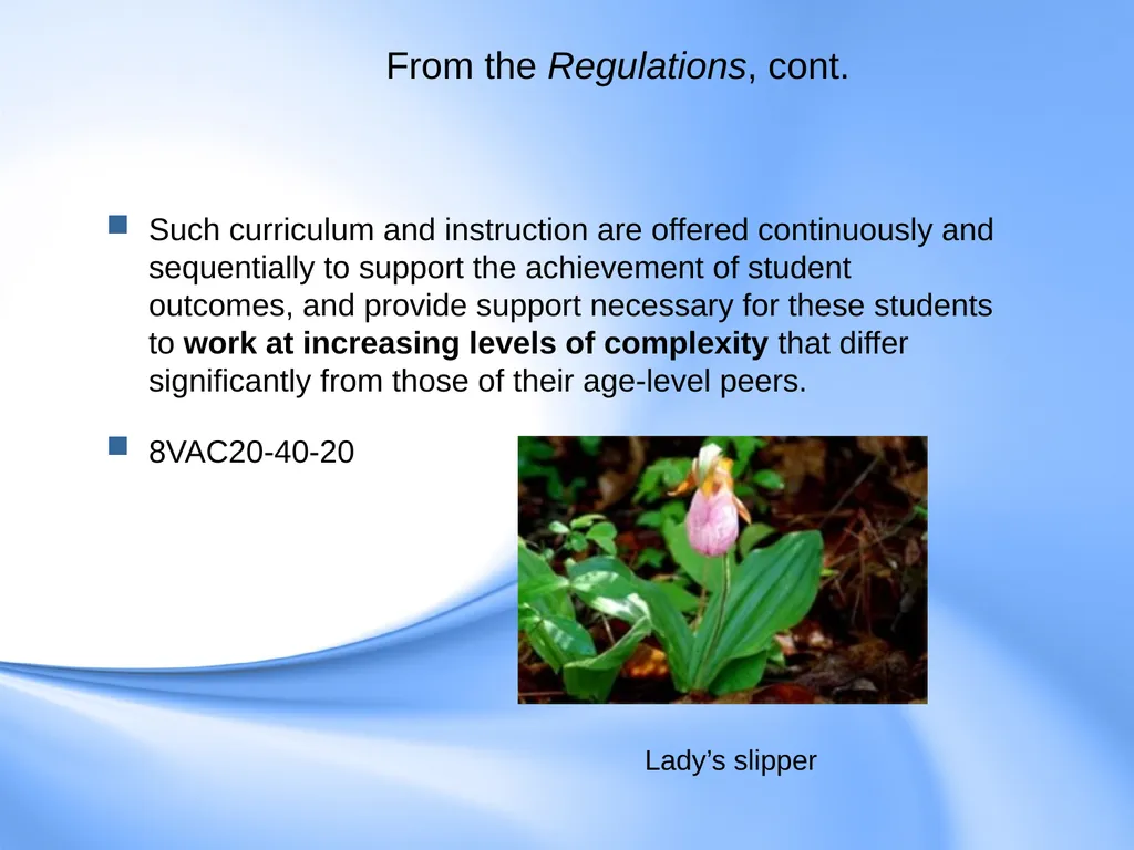 Curriculum for Gifted Students Component 6 of the - slide 4 of 41