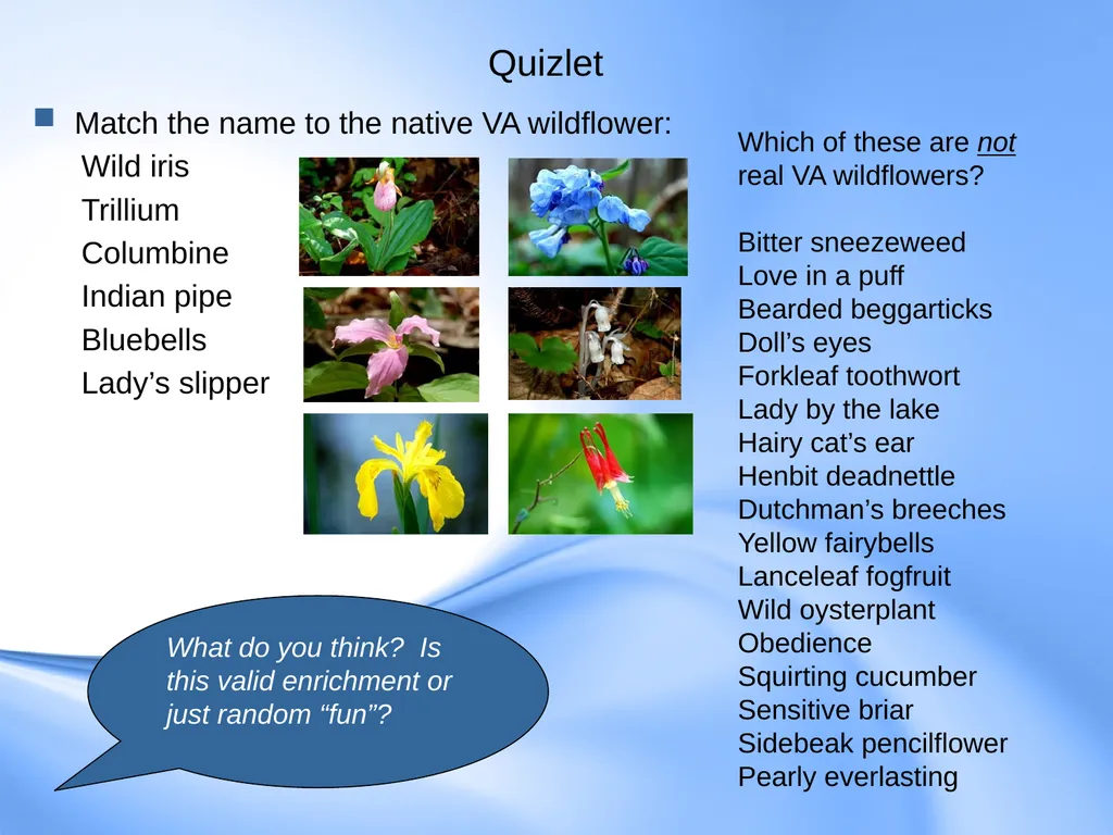 Curriculum for Gifted Students Component 6 of the - slide 40 of 41