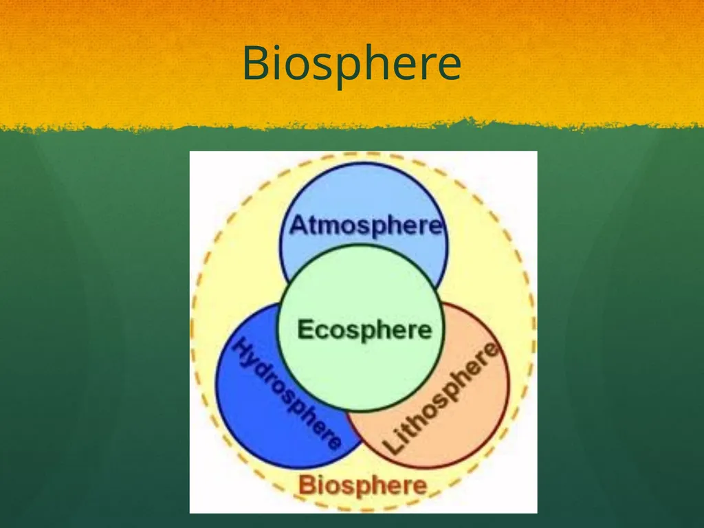Ecosystem: Conceptual Questions Elementary Grade - slide 9 of 21