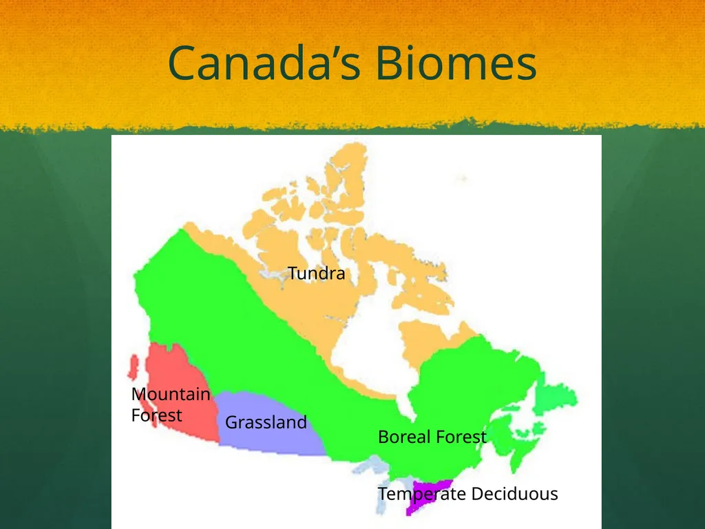 Ecosystem: Conceptual Questions Elementary Grade - slide 7 of 21