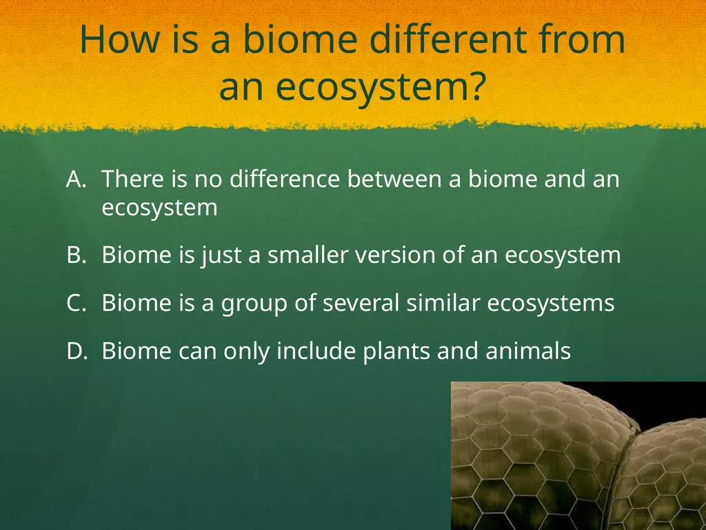 Ecosystem: Conceptual Questions Elementary Grade - slide 4 of 21