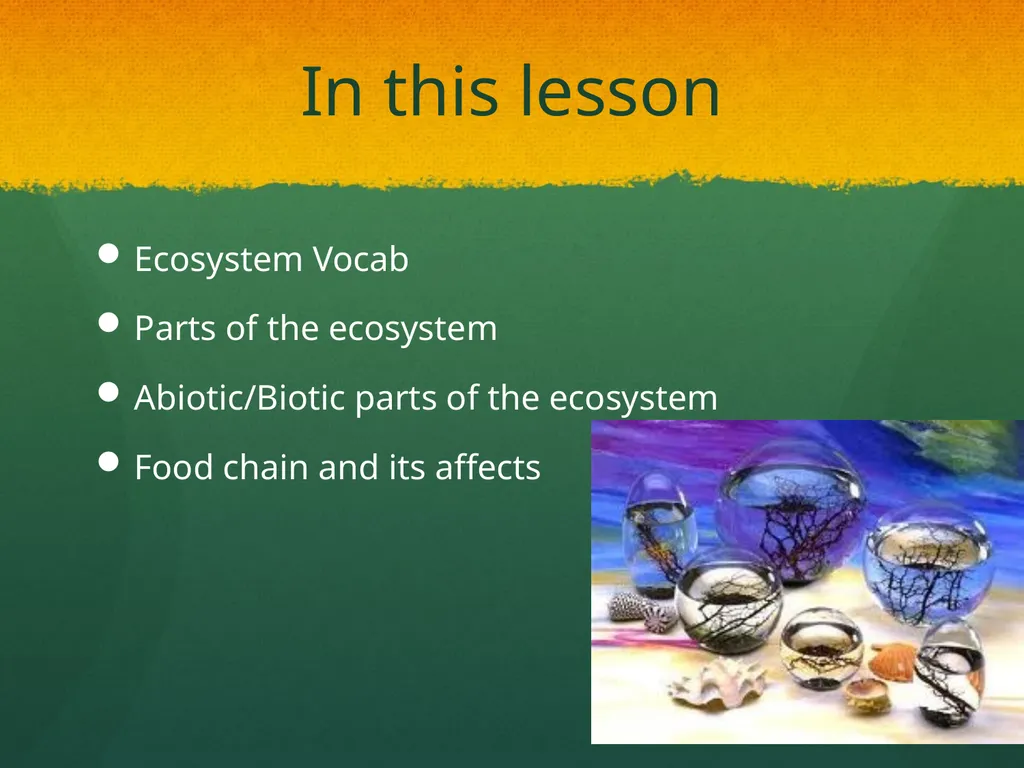 Ecosystem: Conceptual Questions Elementary Grade - slide 2 of 21