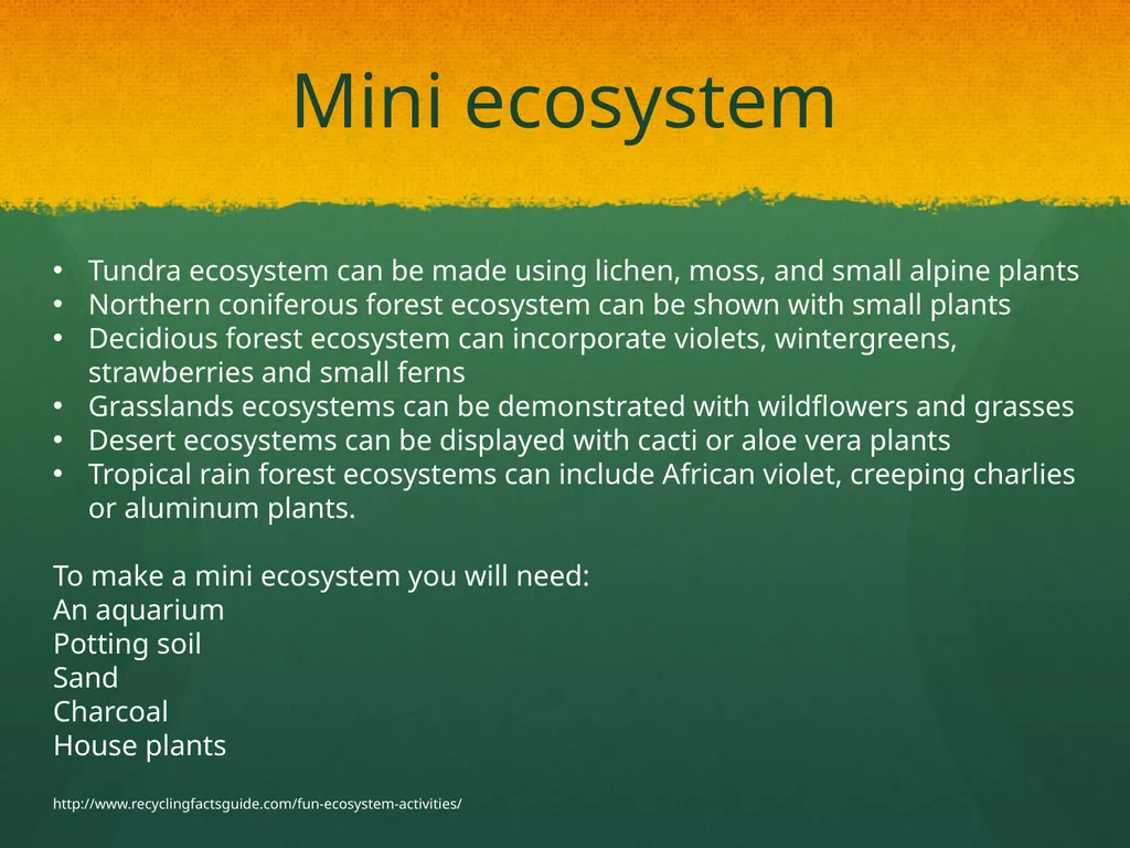 Ecosystem: Conceptual Questions Elementary Grade - slide 20 of 21