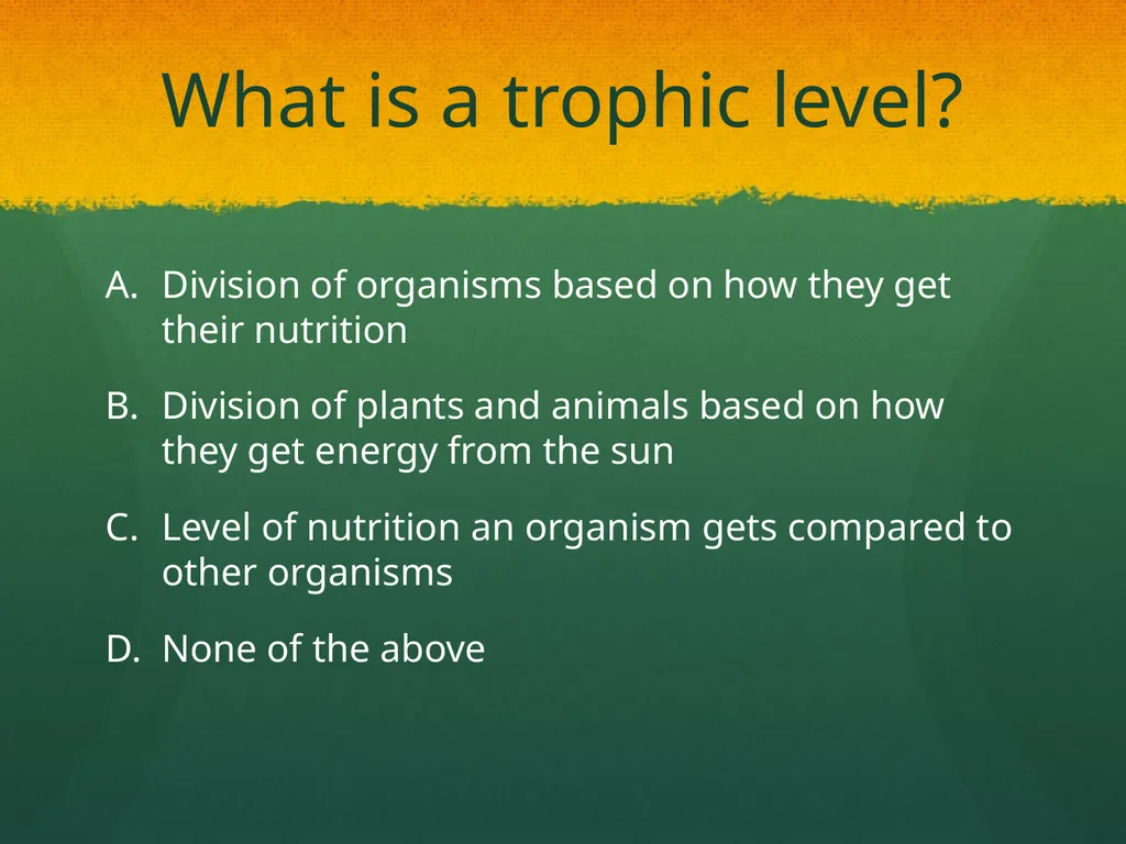 Ecosystem: Conceptual Questions Elementary Grade - slide 12 of 21