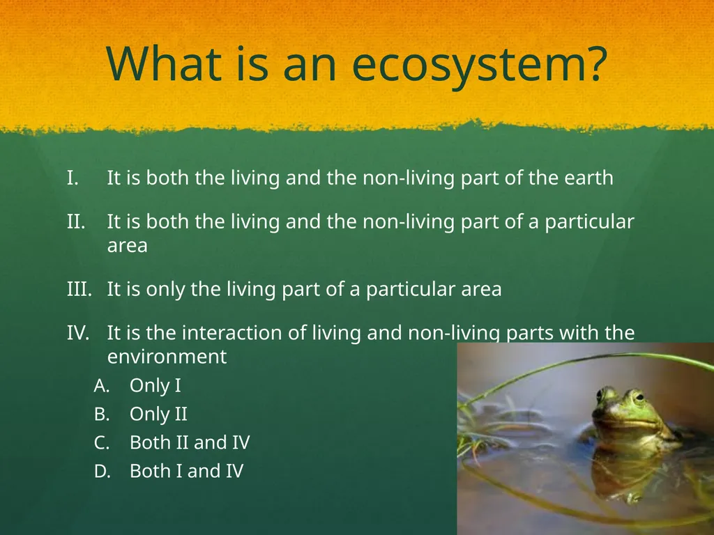 Ecosystem: Conceptual Questions Elementary Grade - slide 3 of 21