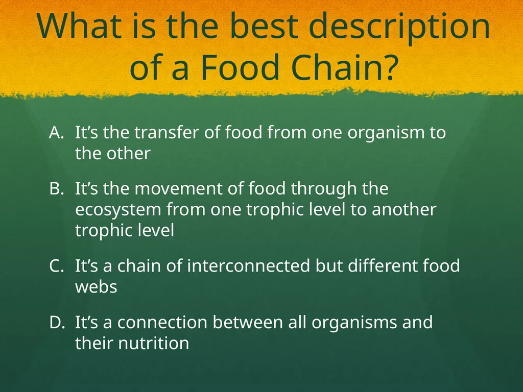 Ecosystem: Conceptual Questions Elementary Grade - slide 11 of 21