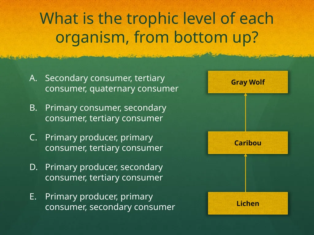 Ecosystem: Conceptual Questions Elementary Grade - slide 17 of 21