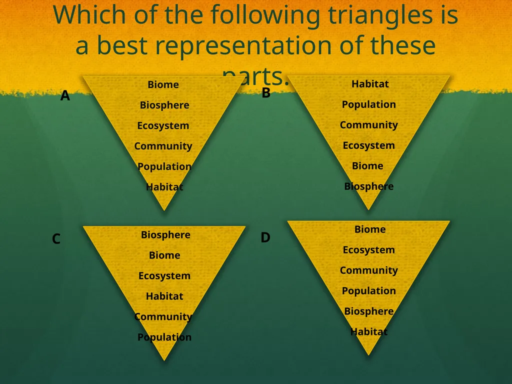 Ecosystem: Conceptual Questions Elementary Grade - slide 8 of 21