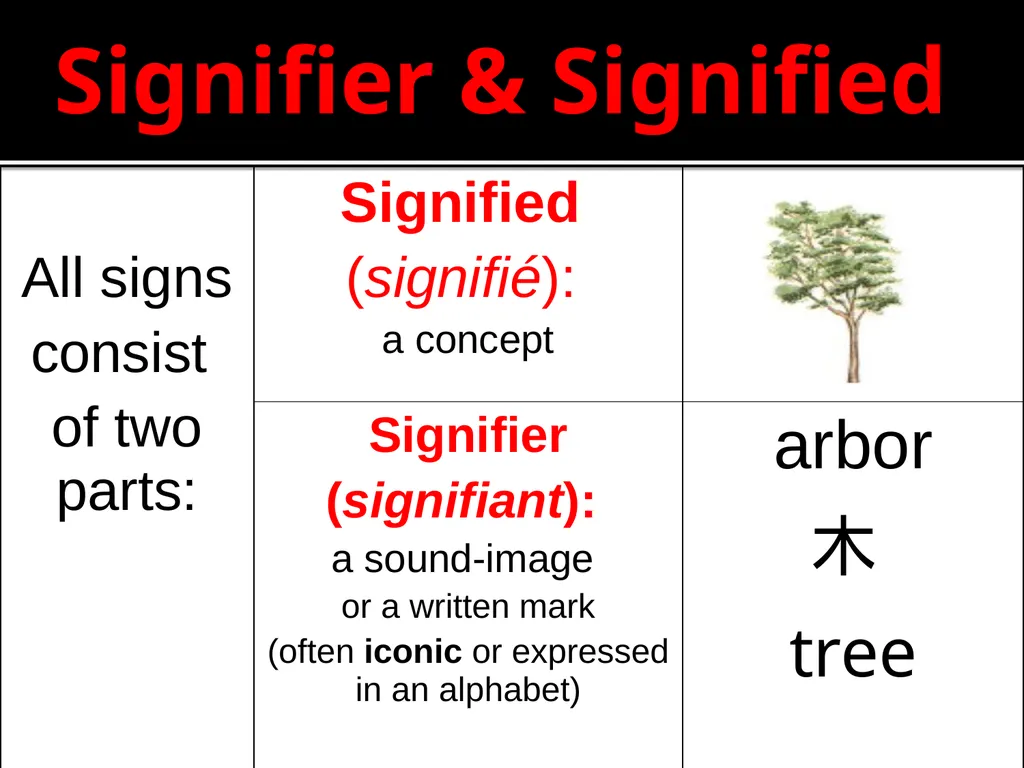 Structuralism Introduction & Theoretical - slide 7 of 32