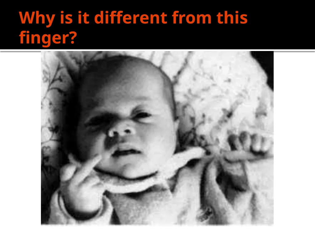 Structuralism Introduction & Theoretical - slide 16 of 32