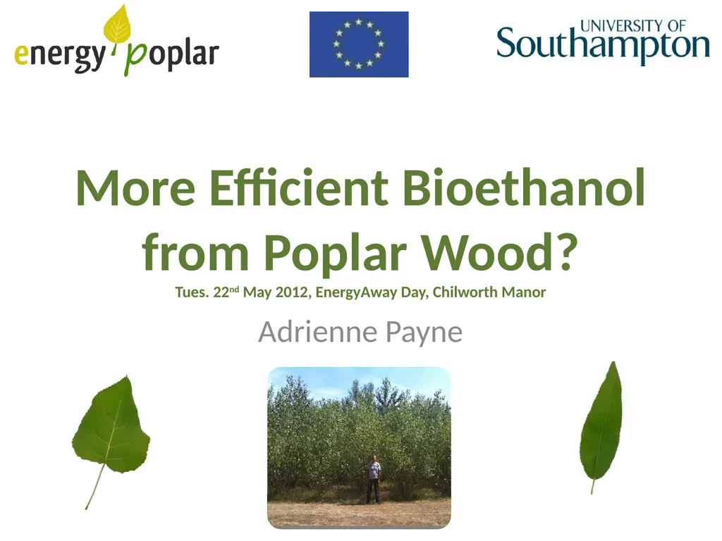 More Efficient Bioethanol from Poplar Wood? Tues. - slide 1 of 4
