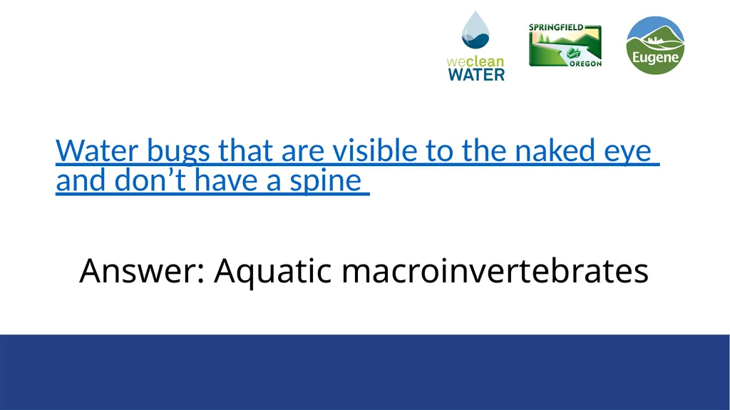 Rainwater that flows over streets, driveways, and - slide 8 of 33