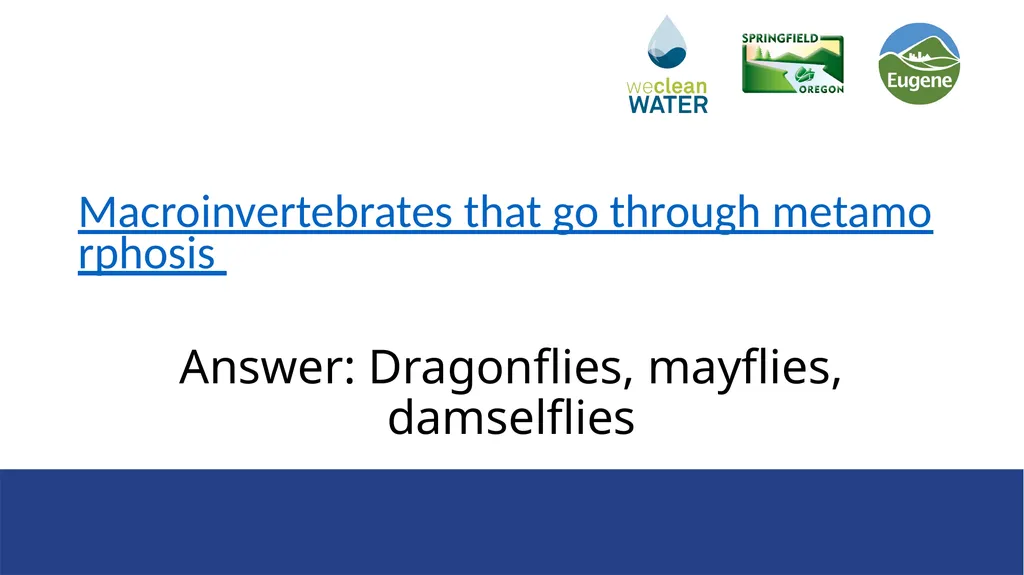 Rainwater that flows over streets, driveways, and - slide 11 of 33