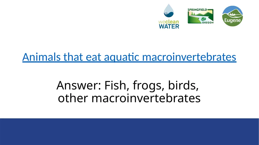 Rainwater that flows over streets, driveways, and - slide 9 of 33