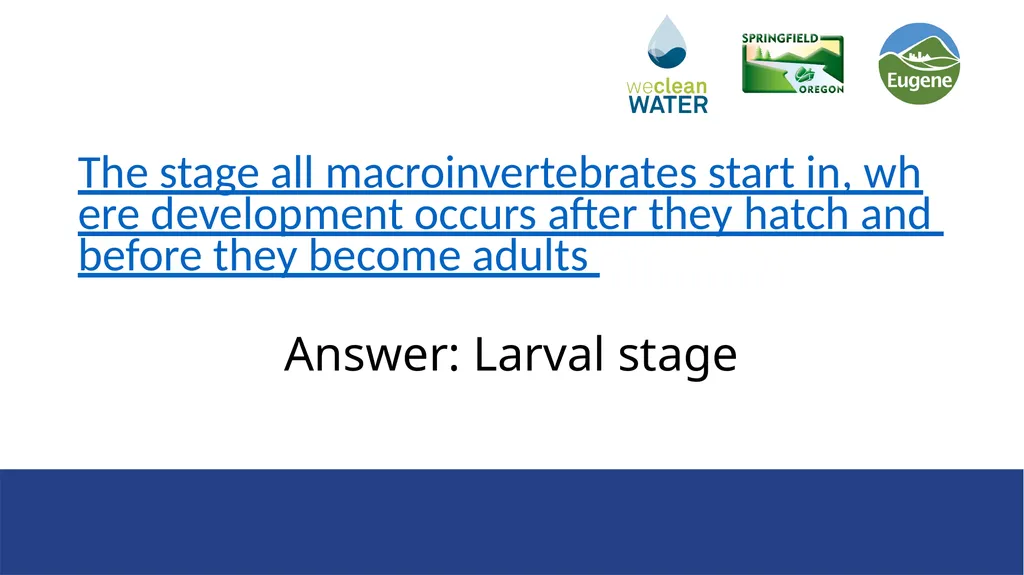 Rainwater that flows over streets, driveways, and - slide 10 of 33