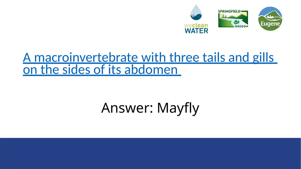 Rainwater that flows over streets, driveways, and - slide 12 of 33