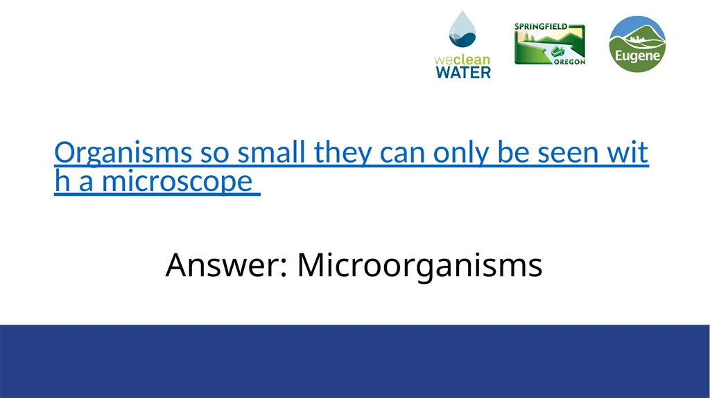 Rainwater that flows over streets, driveways, and - slide 18 of 33