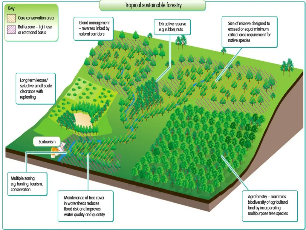 Strategies for managing the tropical rainforest - slide 6 of 6