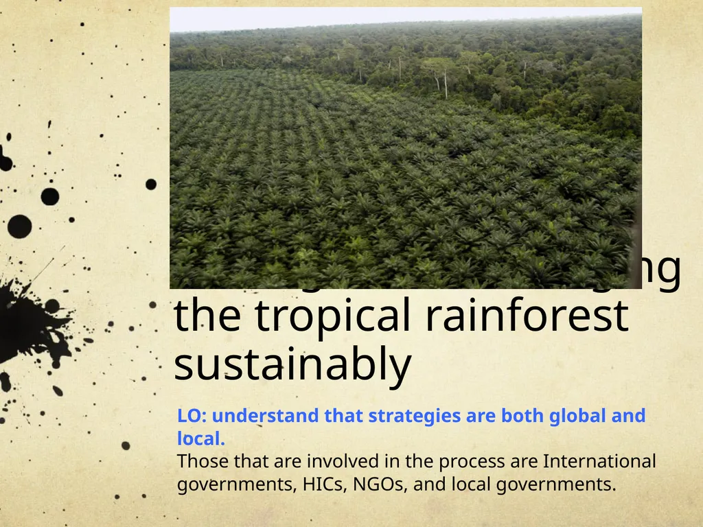 Strategies for managing the tropical rainforest - slide 1 of 6