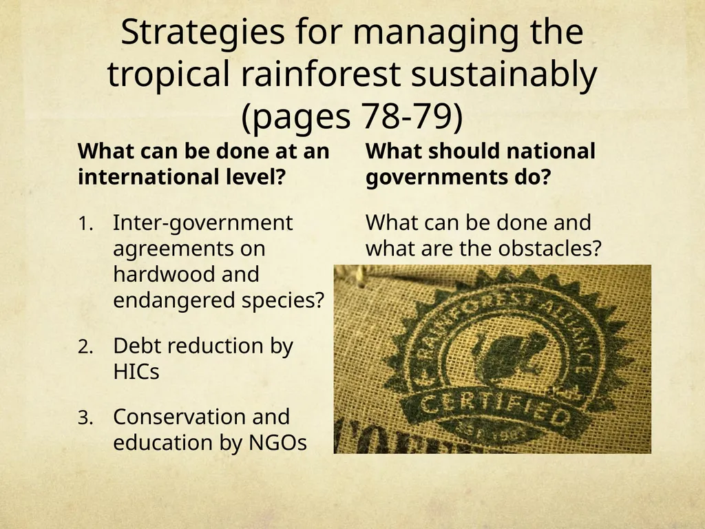 Strategies for managing the tropical rainforest - slide 3 of 6