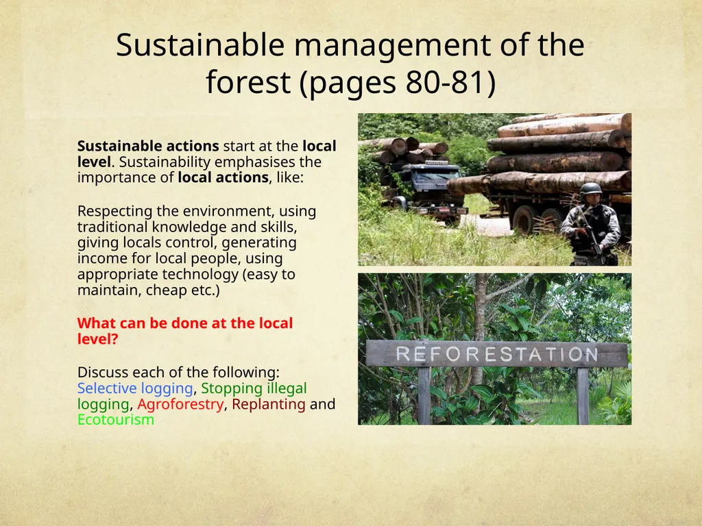 Strategies for managing the tropical rainforest - slide 4 of 6
