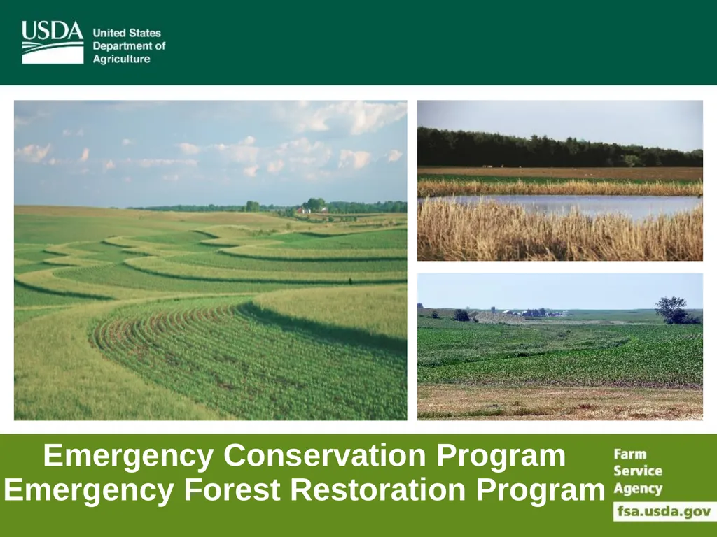 Farm Service Agency Conservation Programs Updates - slide 12 of 16