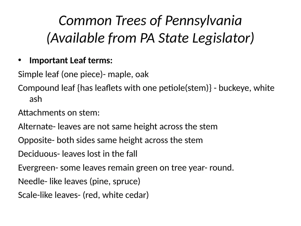 Trees for the Science Classroom Common Trees of - slide 2 of 29