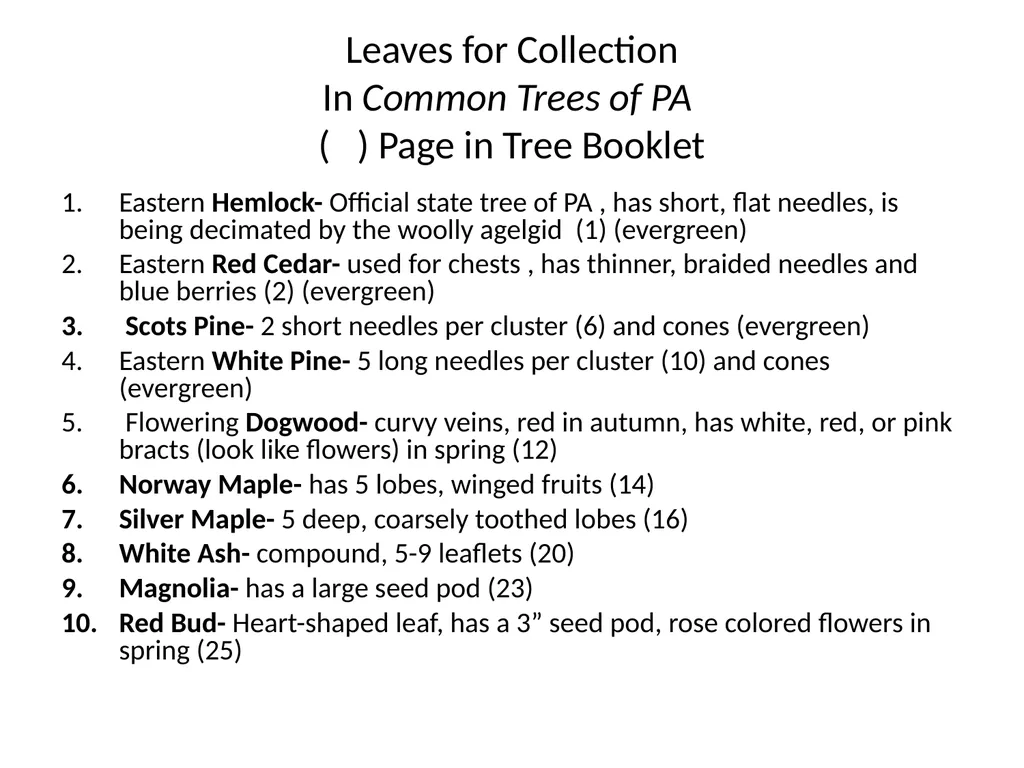 Trees for the Science Classroom Common Trees of - slide 4 of 29