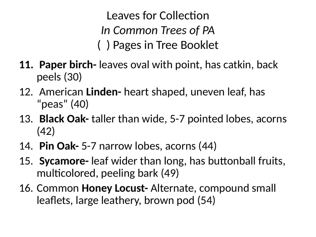 Trees for the Science Classroom Common Trees of - slide 5 of 29