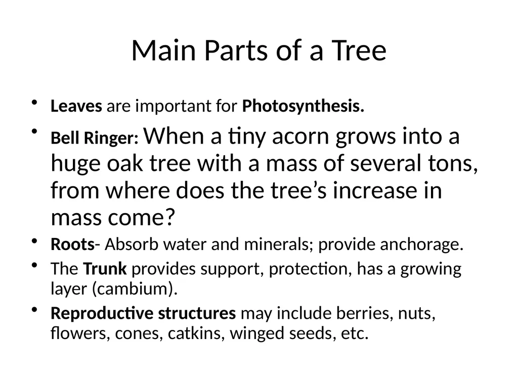 Trees for the Science Classroom Common Trees of - slide 3 of 29