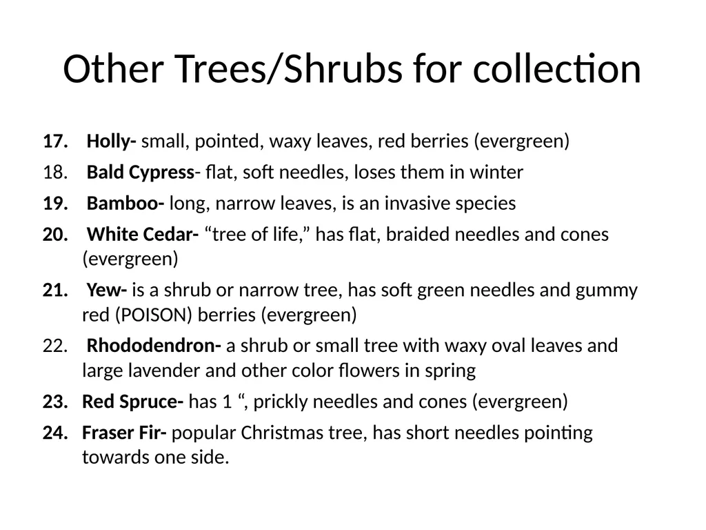 Trees for the Science Classroom Common Trees of - slide 6 of 29