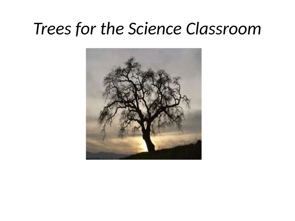 Trees for the Science Classroom Common Trees of