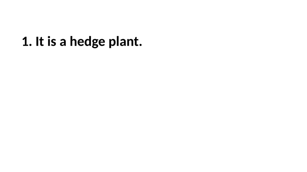 Guessing Game Trees 1. It is a hedge plant. 1. - slide 2 of 23