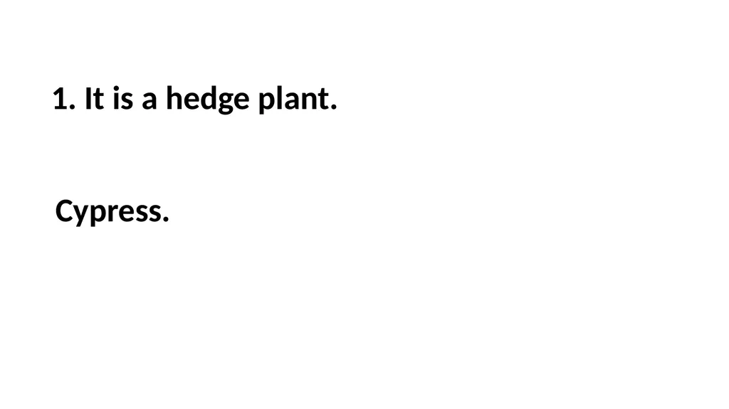 Guessing Game Trees 1. It is a hedge plant. 1. - slide 3 of 23