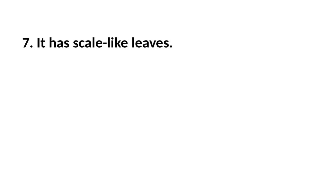 Guessing Game Trees 1. It is a hedge plant. 1. - slide 12 of 23