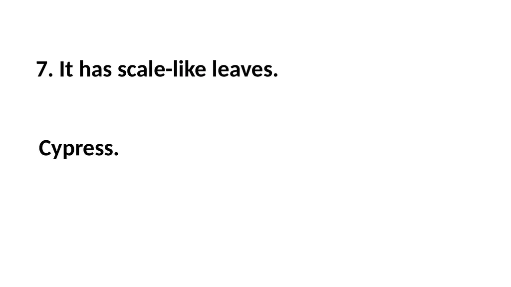 Guessing Game Trees 1. It is a hedge plant. 1. - slide 13 of 23