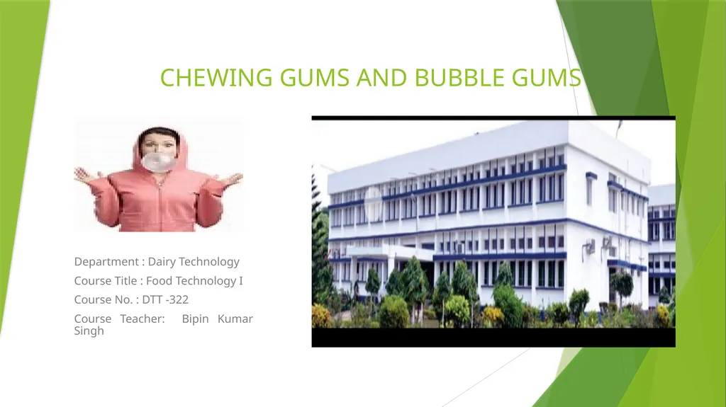 CHEWING GUMS AND BUBBLE GUMS Department : Dairy - slide 1 of 24
