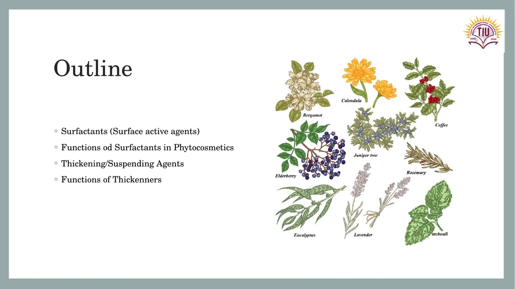 PHYTOCOSMETICS PHAR 535 Dr. ESRA TARIQ Formulation - slide 2 of 15