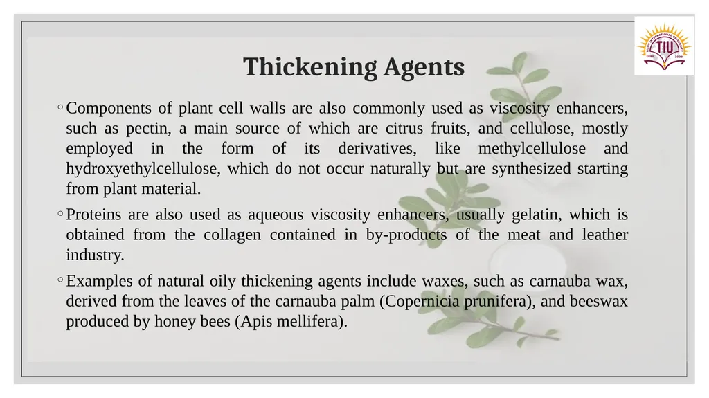 PHYTOCOSMETICS PHAR 535 Dr. ESRA TARIQ Formulation - slide 8 of 15